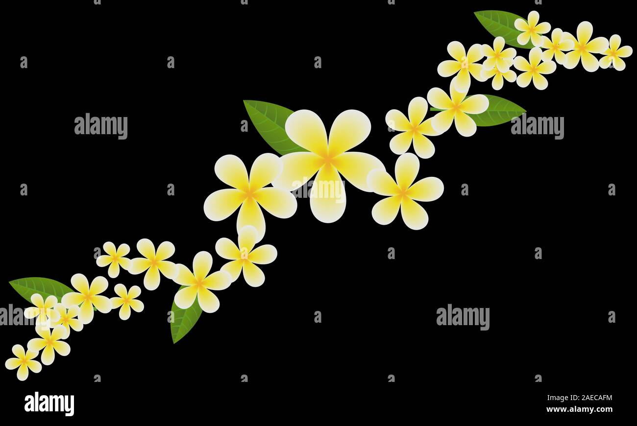 Frangipani ( Plumeria) flower template for design vector EPS10. Bali vacations concept. Copy ...
