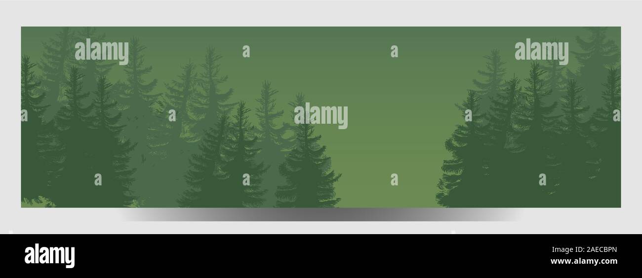 Illustration Of Coniferous Forest Travel Infographic Forest