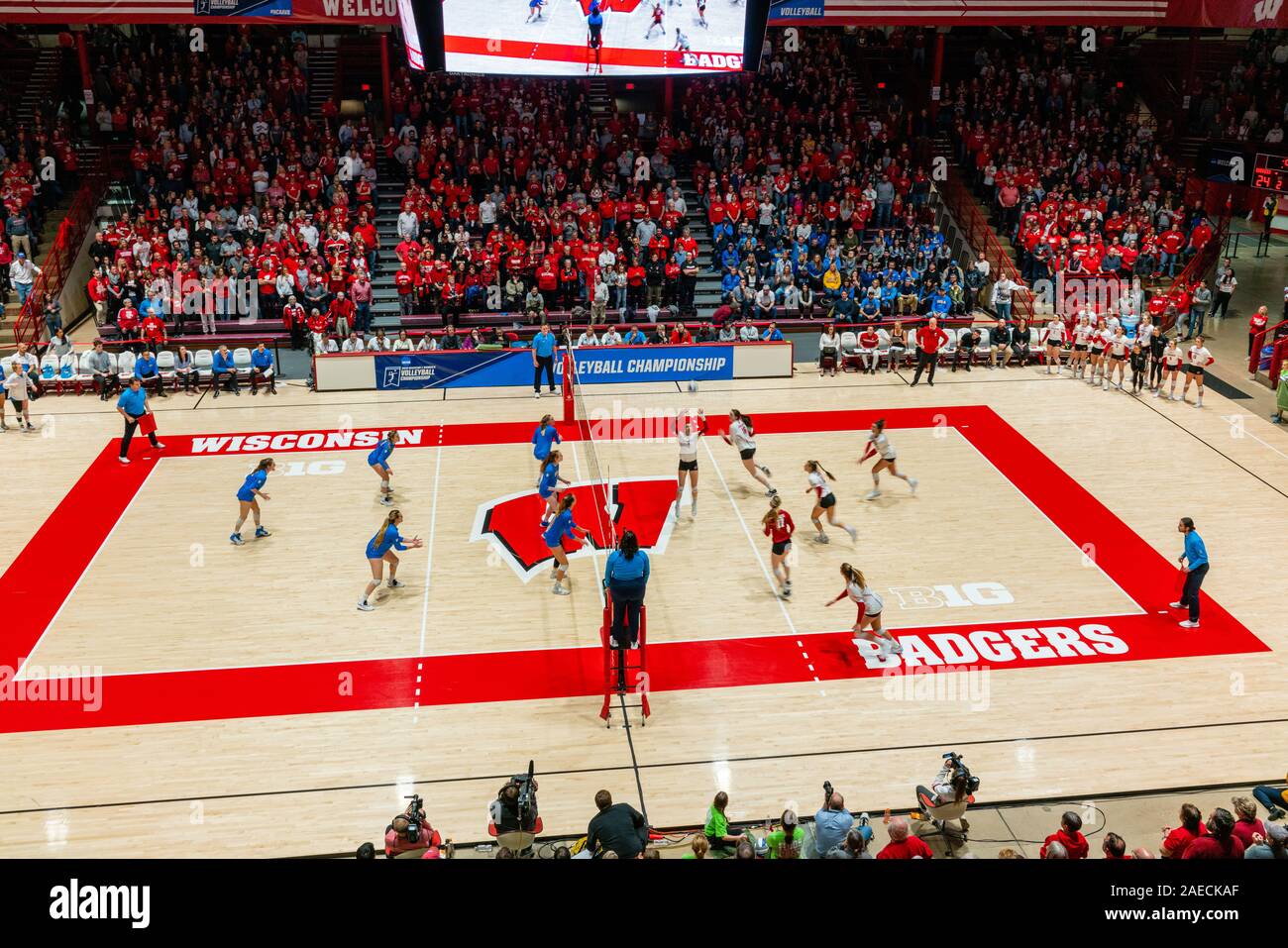 Izzy ashburn hires stock photography and images Alamy