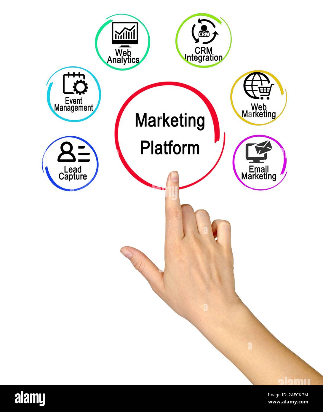 Platform Function Infograph Marketing Platform Functions Stock Photo - Alamy