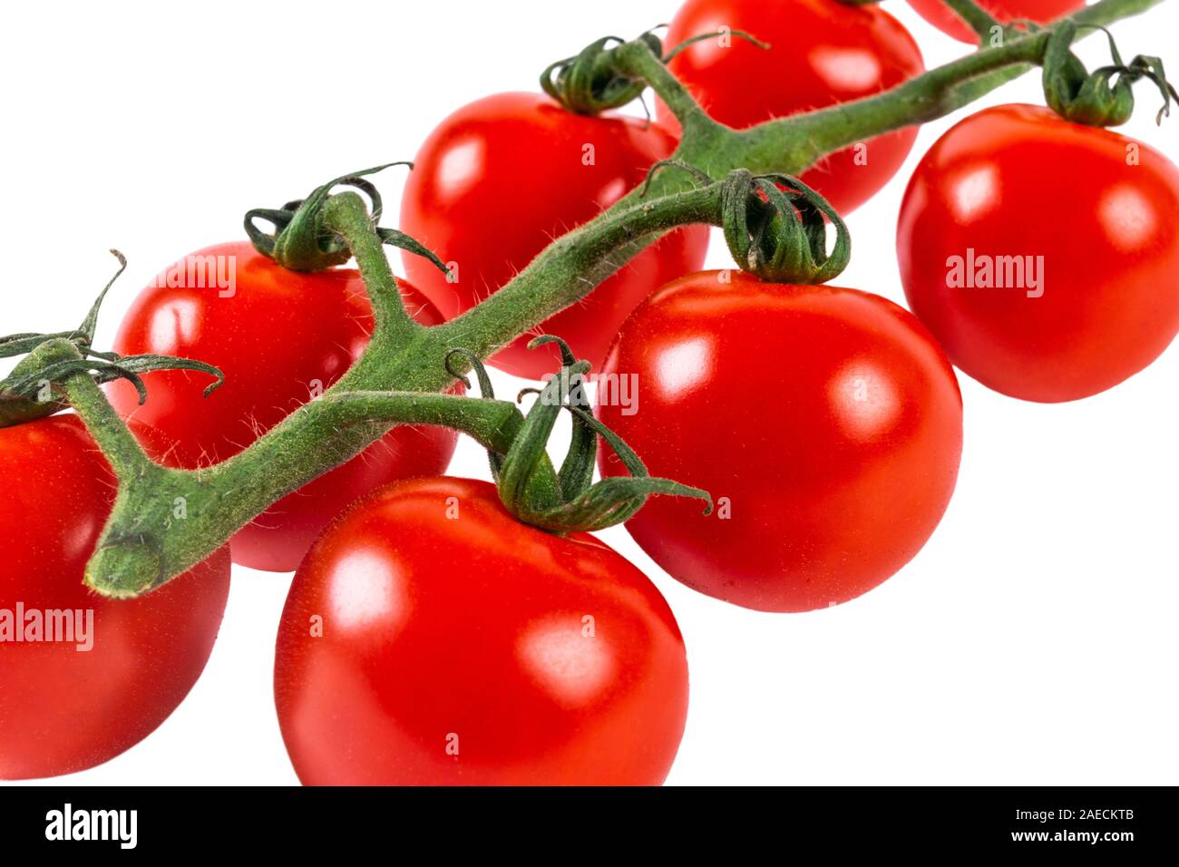 Branch of Cherry Tomato Isolated on white background. Top view. Fresh ...