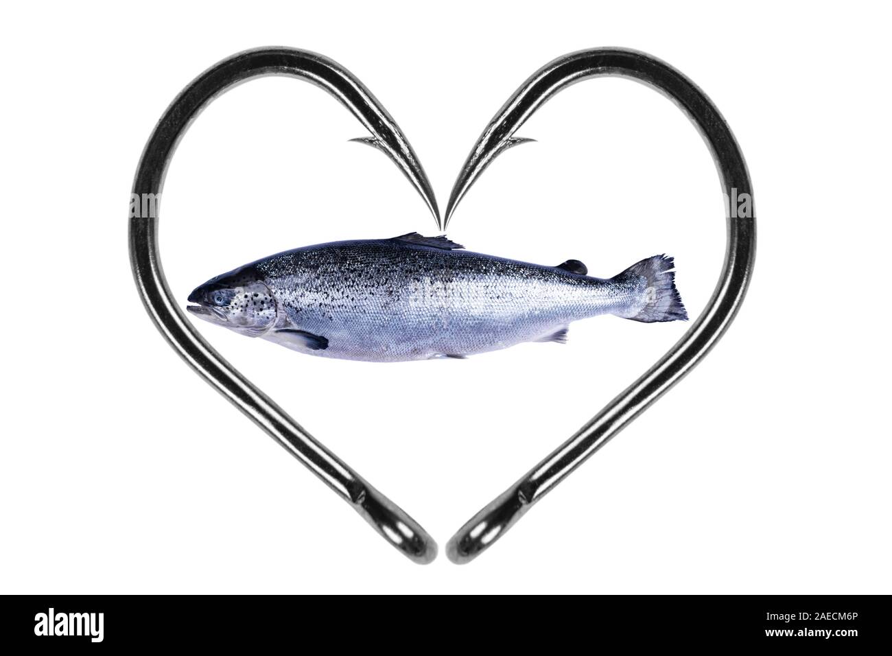 Fishing hook love heart sign with salmon fish isolated on a white  background. Fishing hook close up. Fishing tackle. Stainless steel fishing  hooks. Fi Stock Photo - Alamy