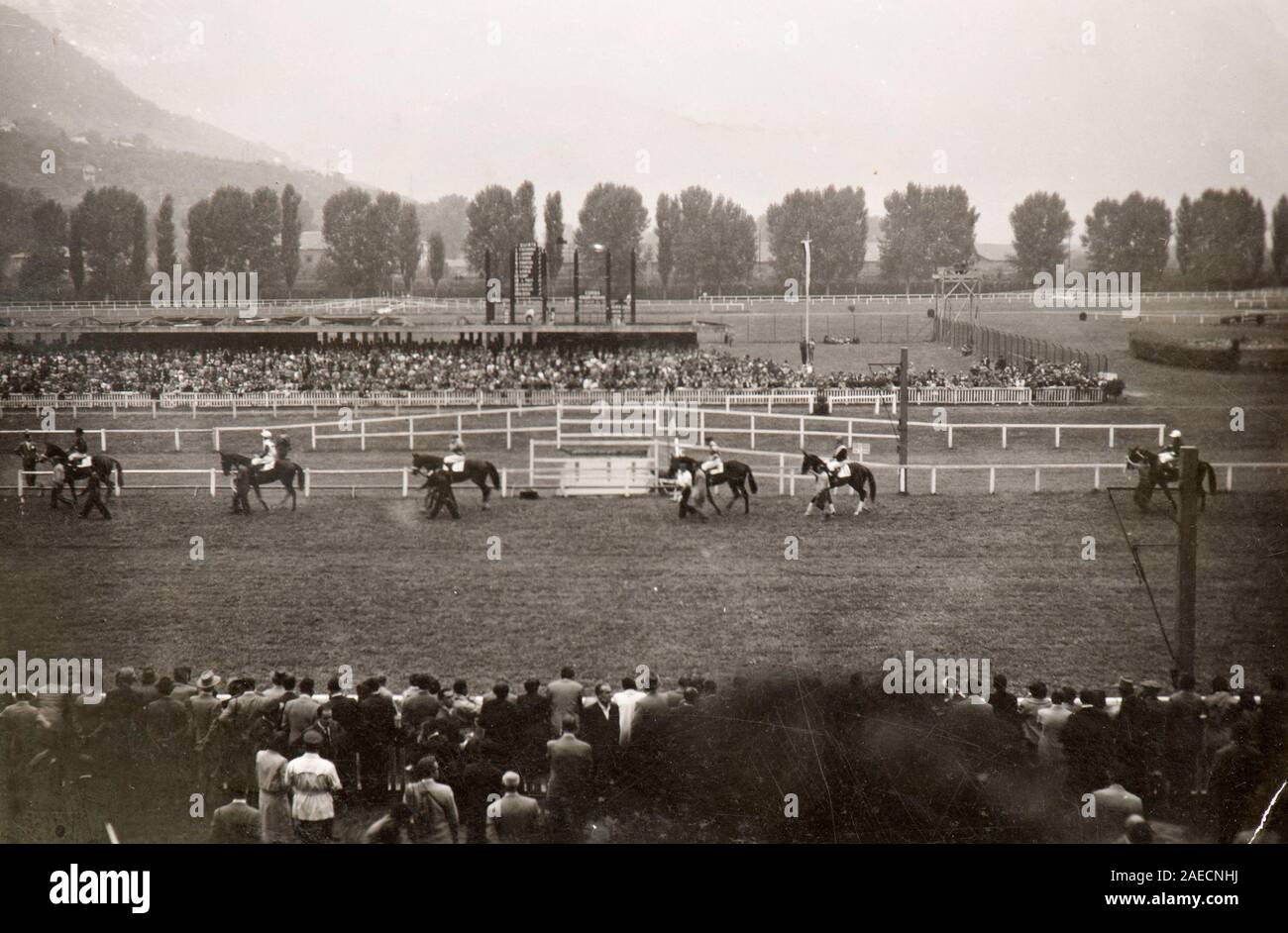 A horse race in Merano (Italy, 1956) Stock Photo