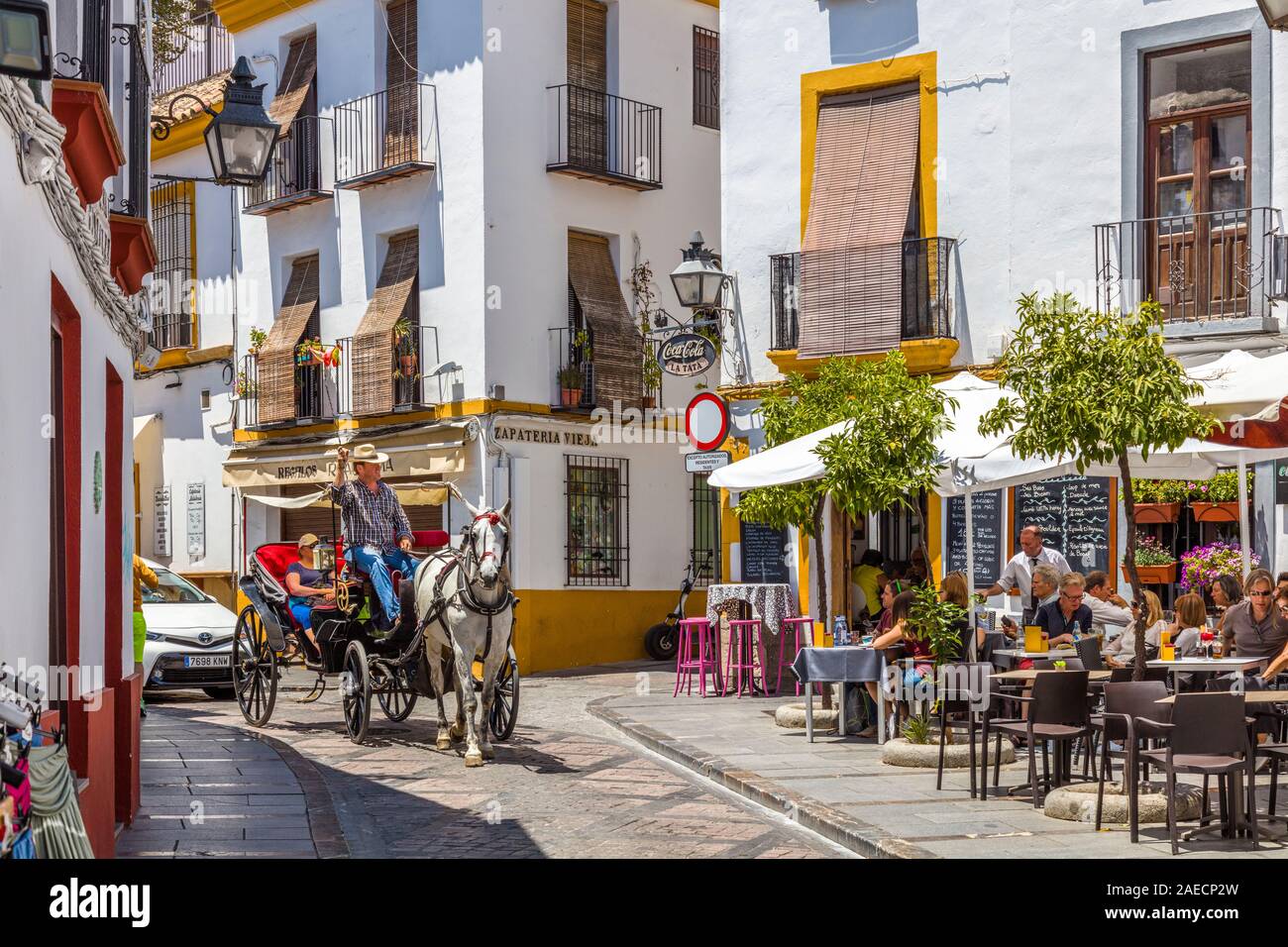 Horse and carriage tourist ride in Cordoba in  the Andalusia region of Spain Stock Photo