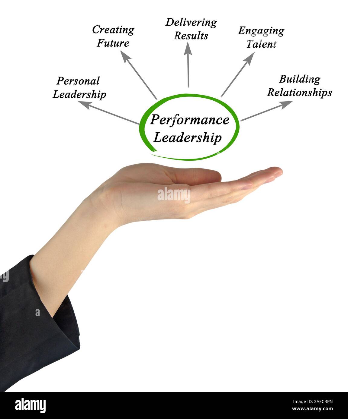 Diagram of Performance Leadership Stock Photo - Alamy