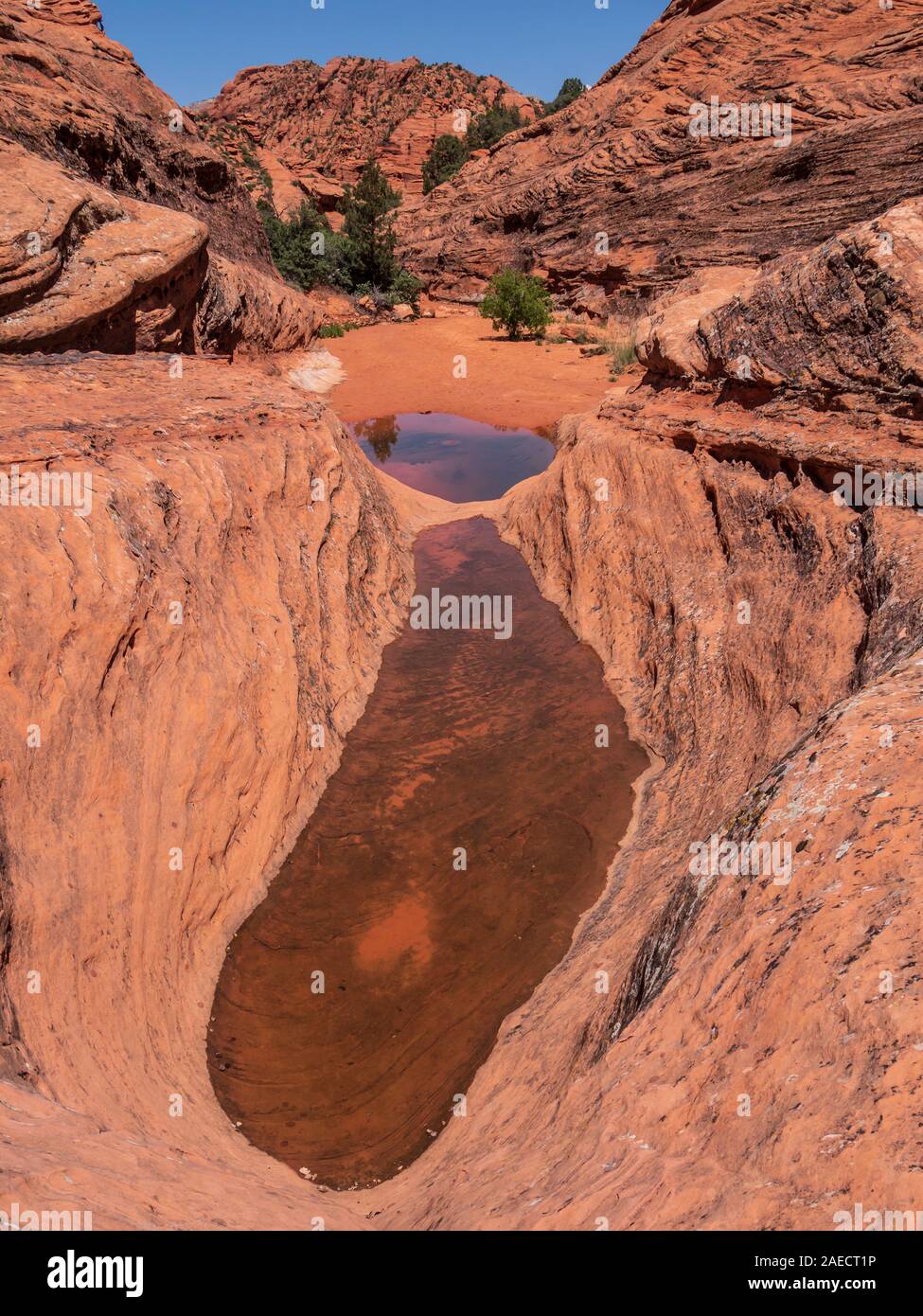 Down in canyon bottom, Padre Canyon Trail, Snow Canyon State Park, Saint George, Utah. Stock Photo