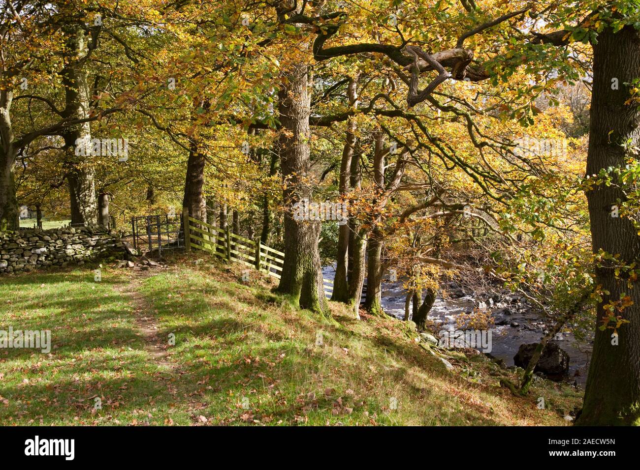 Dales Way footpath , Brigflatts, Sedbergh, Cumbria, England, UK Stock Photo