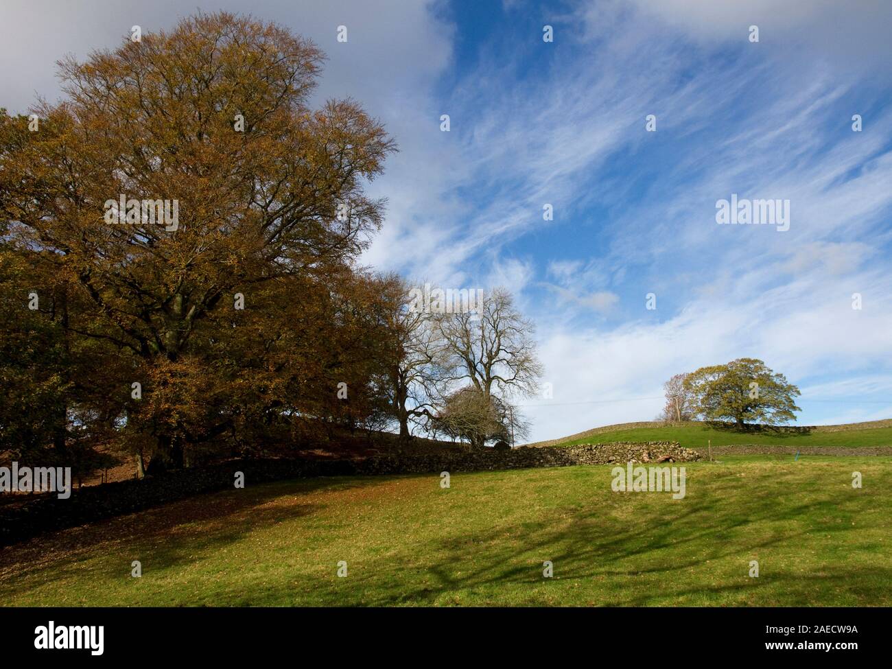 Countryside on edge of Sedburgh, Cumbria, England, UK Stock Photo