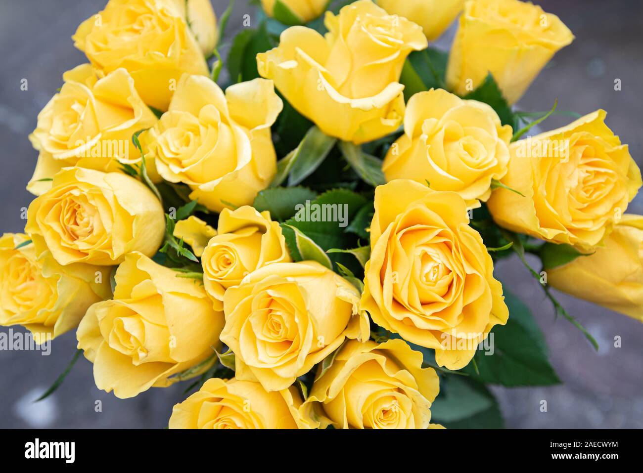 Bouquet of yellow roses. Image Stock Photo Alamy