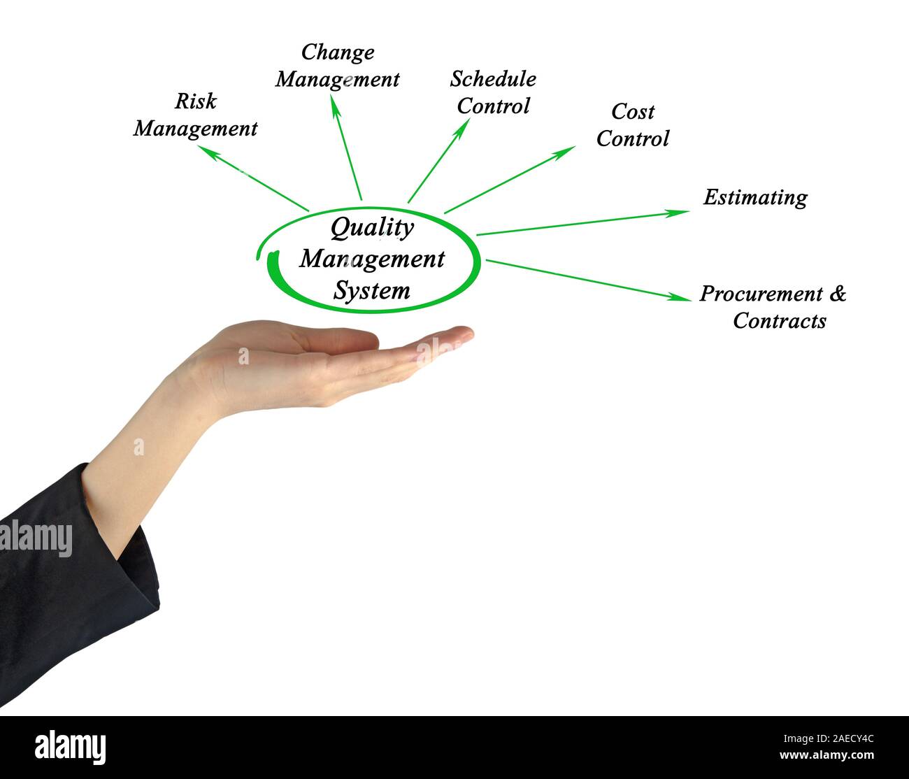 Diagram of Quality Management System Stock Photo - Alamy