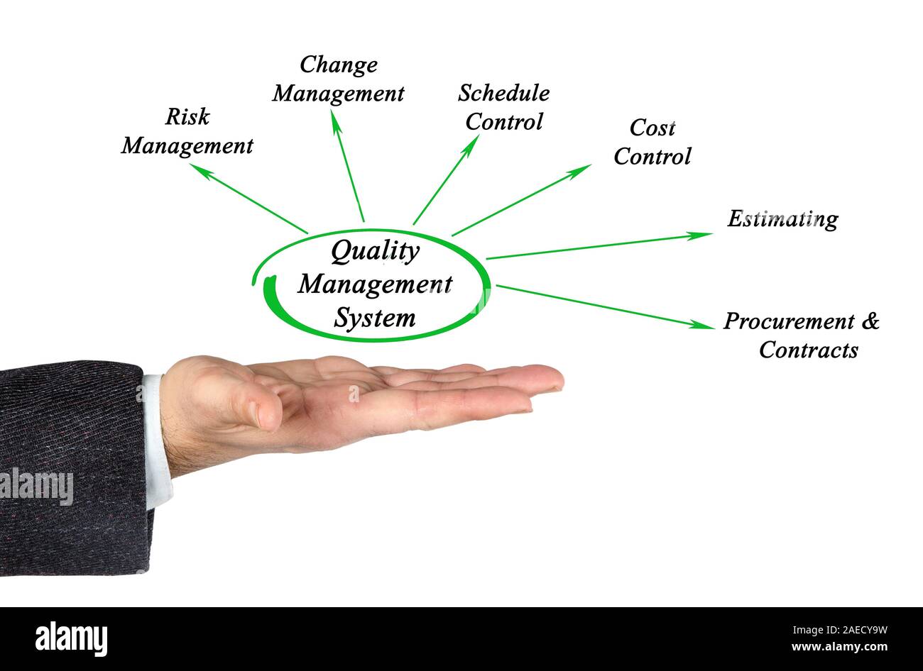 Diagram of Quality Management System Stock Photo - Alamy