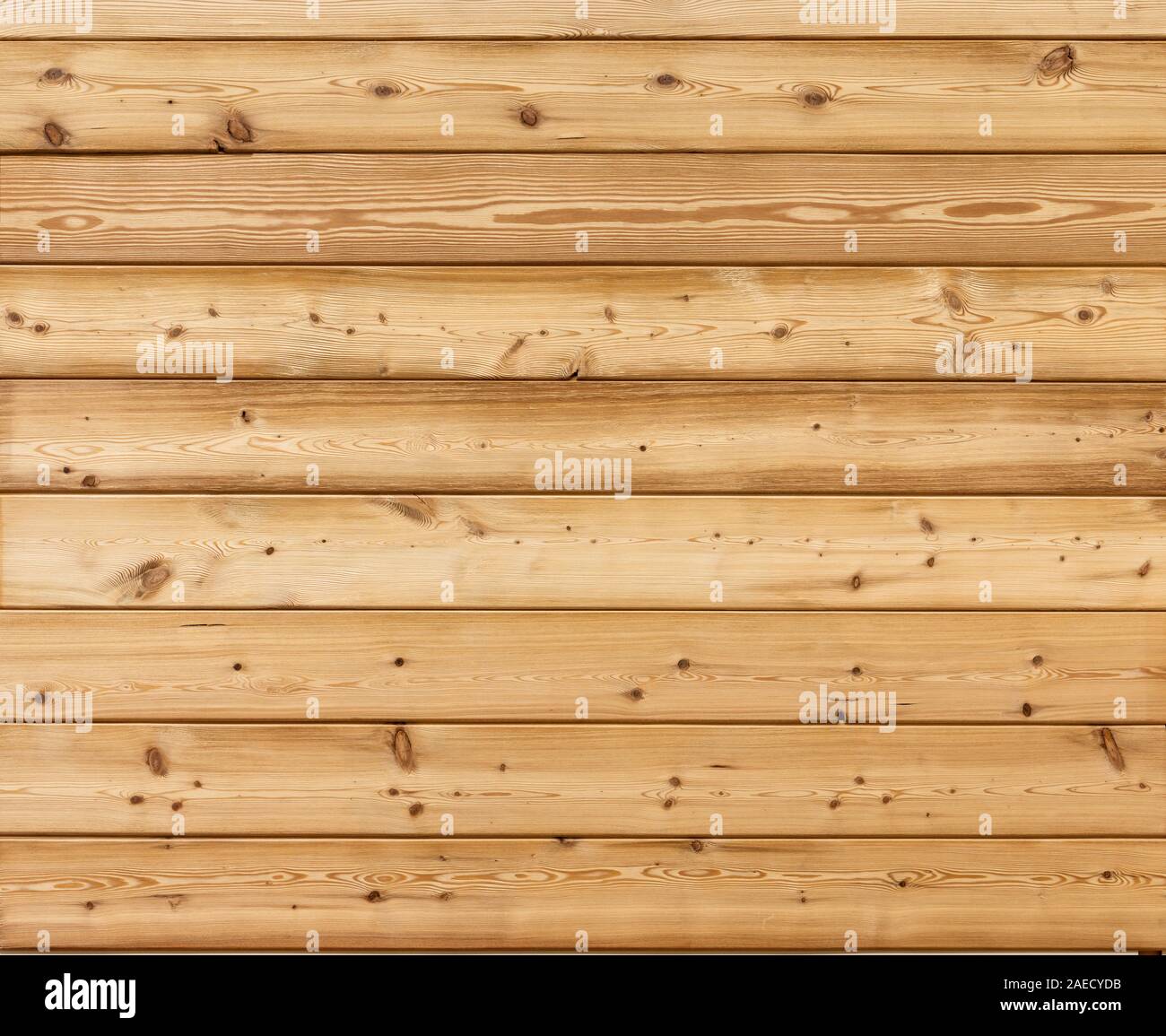 Massif of wood. texture for cg Stock Photo