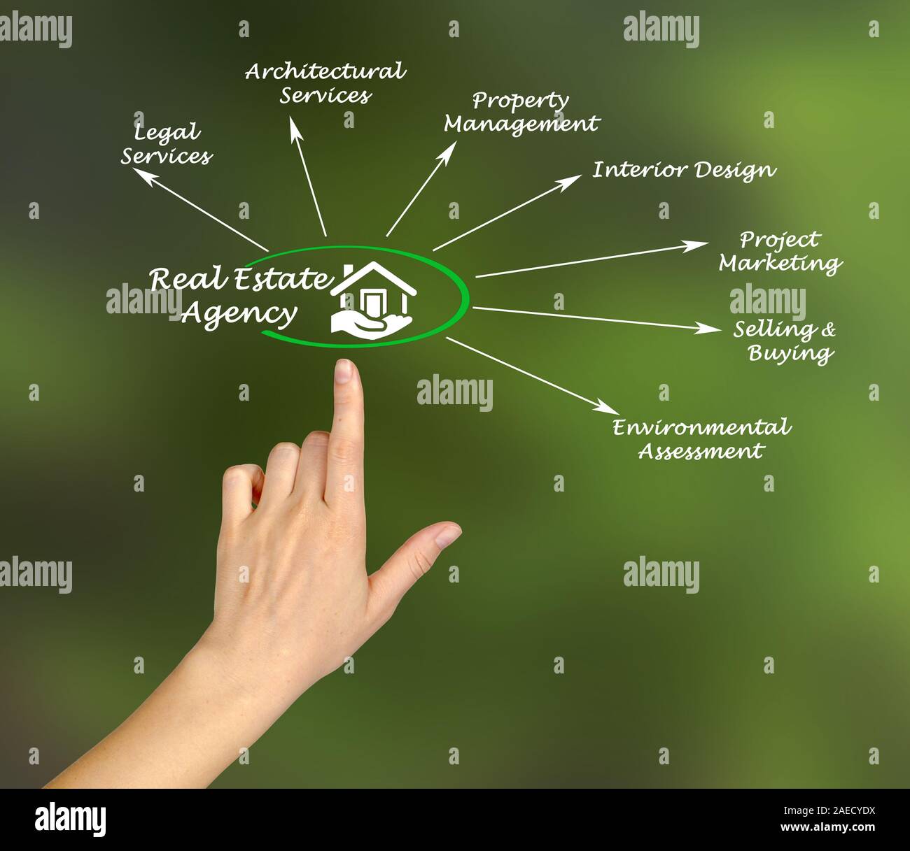 Real Estate Agency Stock Photo Alamy