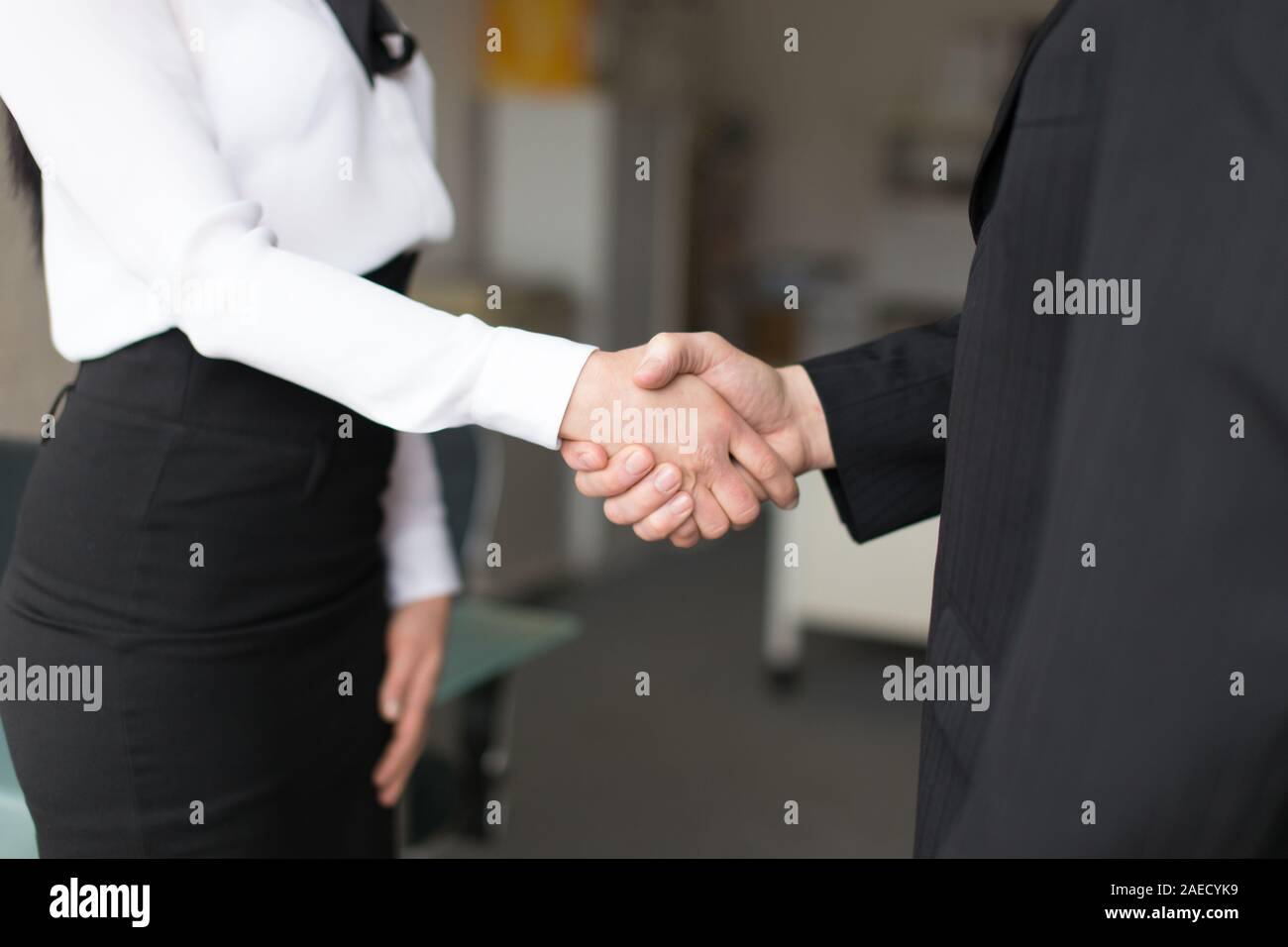 Young successful businesspeople handshake in office closeup Stock Photo