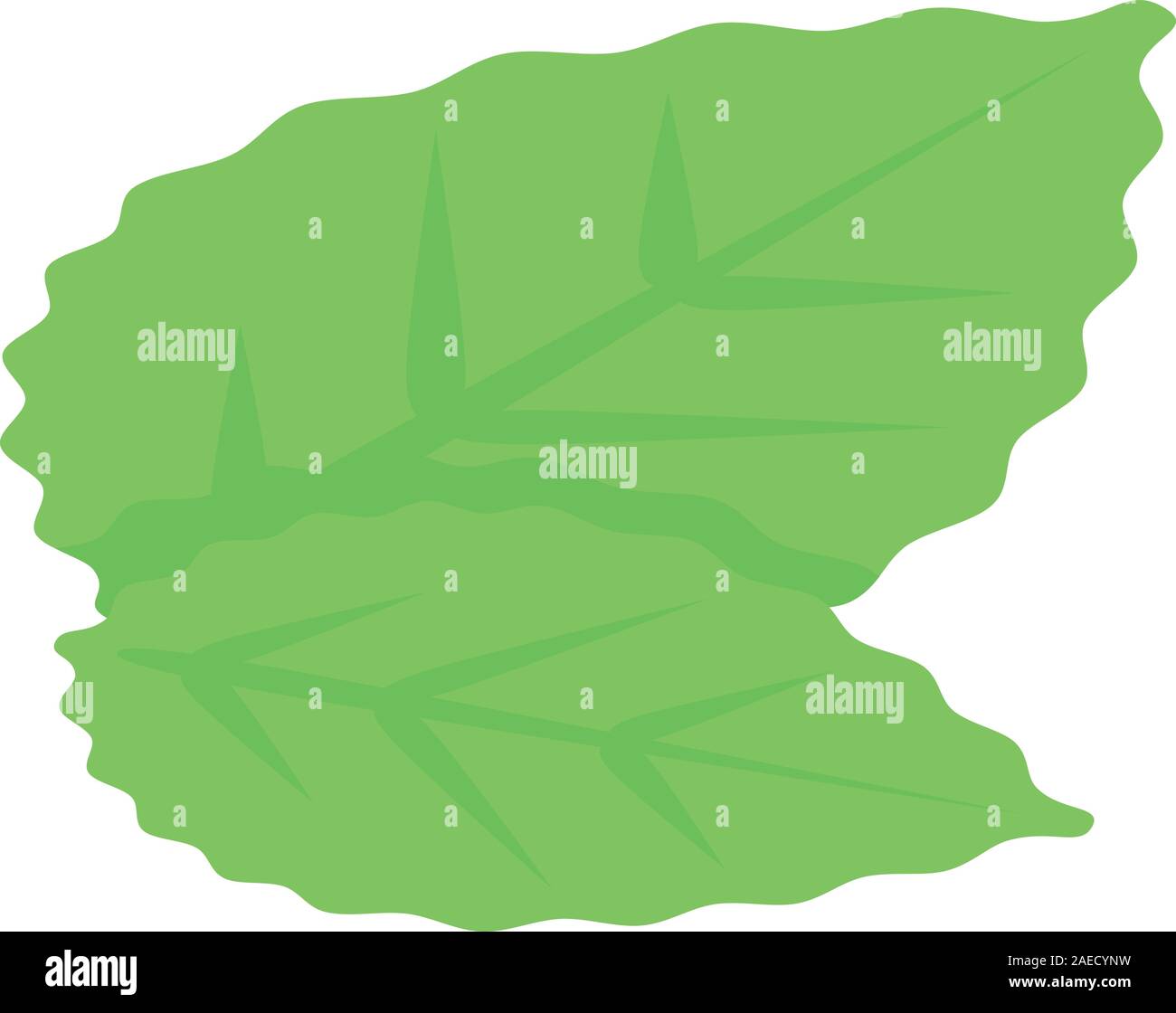 Blackberry leaves icon, isometric style Stock Vector