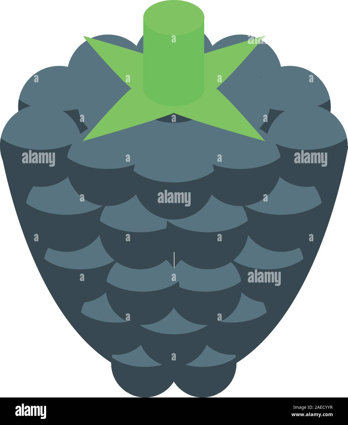 Blackberry fruit icon, isometric style Stock Vector