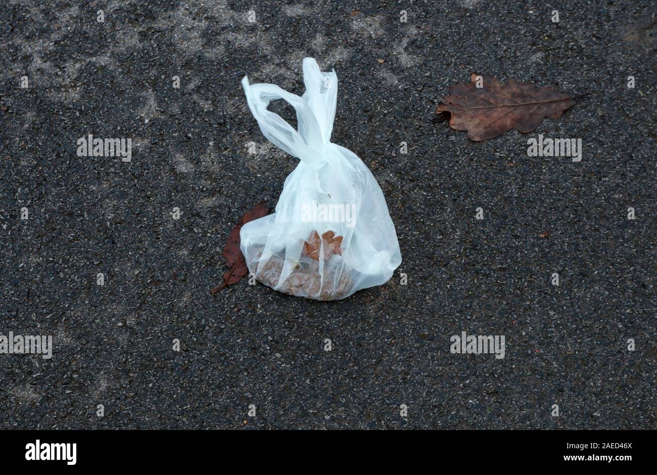 Discarded plastic bag with dog waste on road side, UK Stock Photo