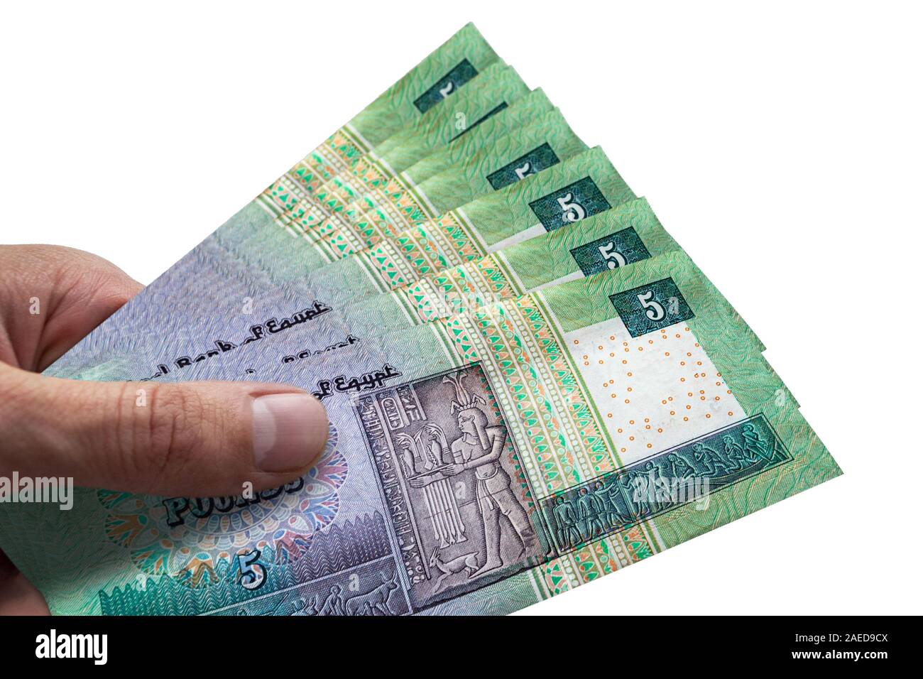 Hand Holding Egyptian Pounds EGP Currency Of Egypt Stock Photo Alamy about-us-freds-pass-rural-show