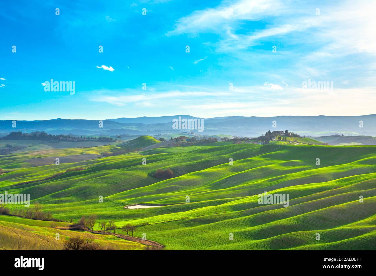 Tuscany panorama, rolling hills, trees, and green fields. Vescona, Siena Italy, Europe Stock Photo