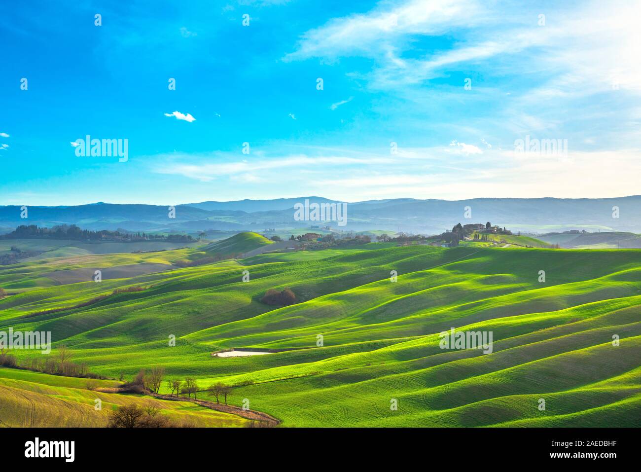 Tuscany panorama, rolling hills, trees, and green fields. Vescona ...
