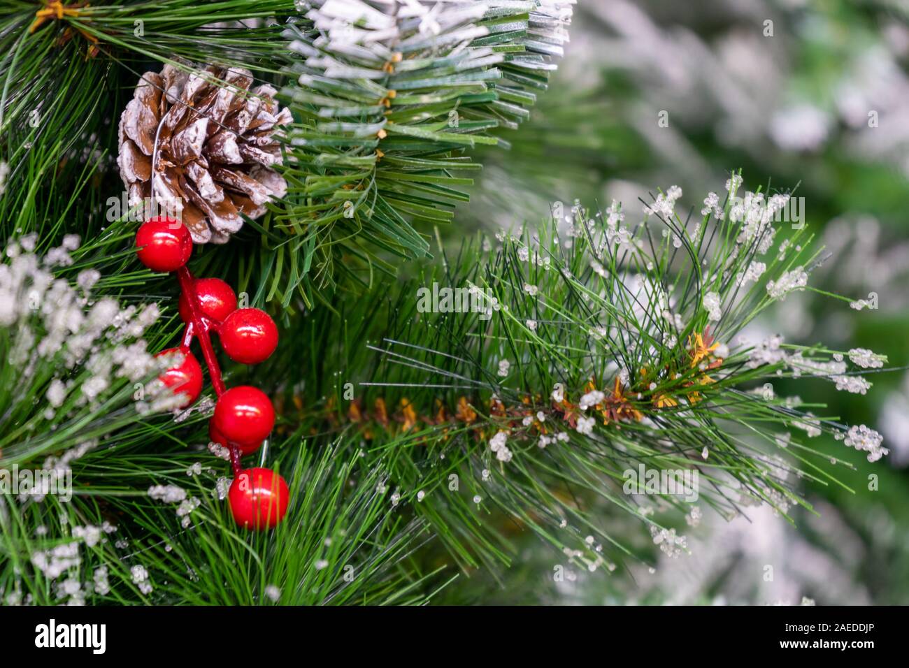 Snowy trees with red berries hi-res stock photography and images - Alamy, image size:1300x956