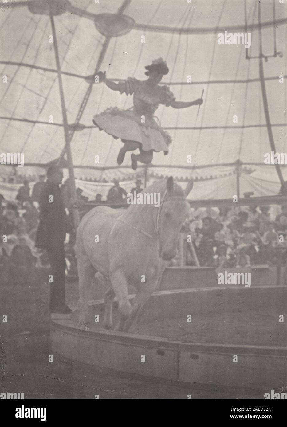American circus performance hi-res stock photography and images - Alamy