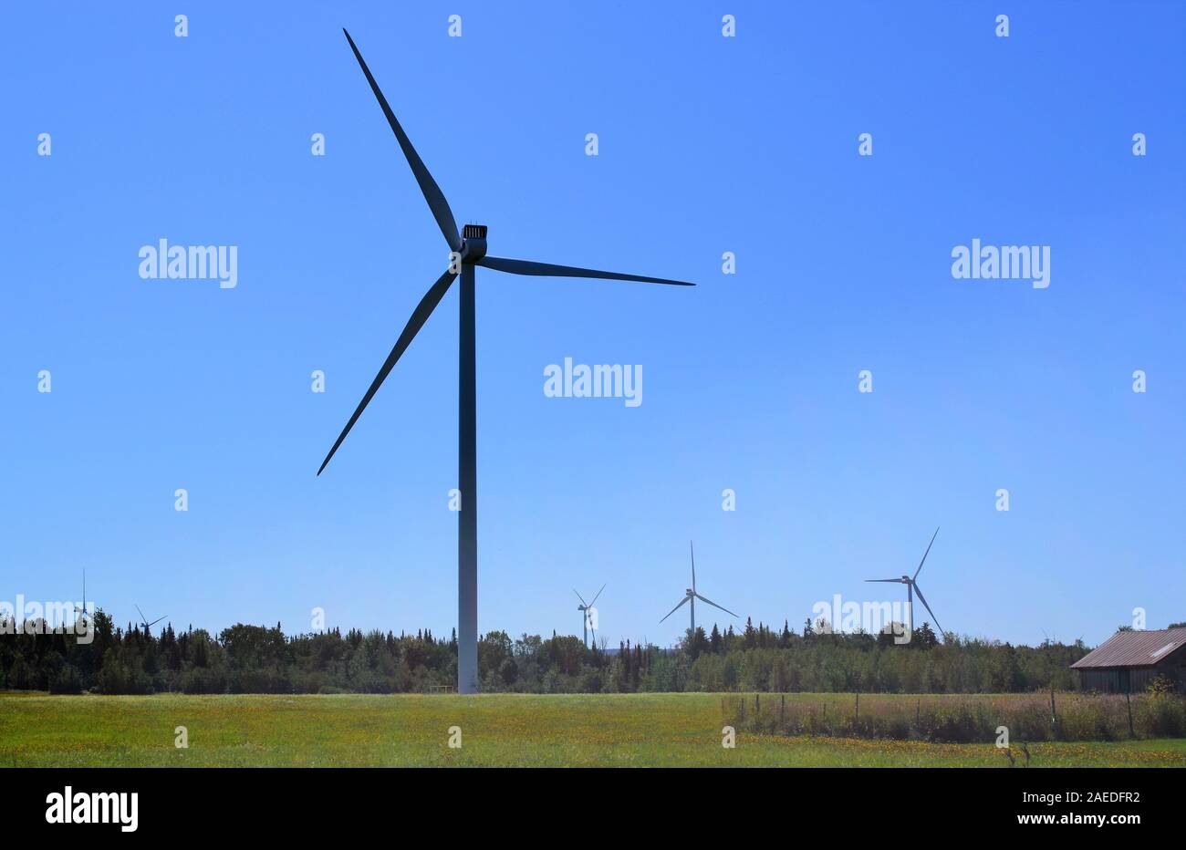 Wind turbines in farmland in New York state Stock Photo Alamy