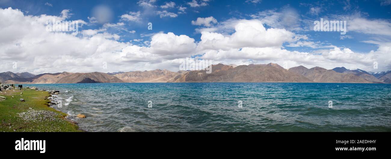 panorama view of Pangong lake in Ladakh, India. Stock Photo