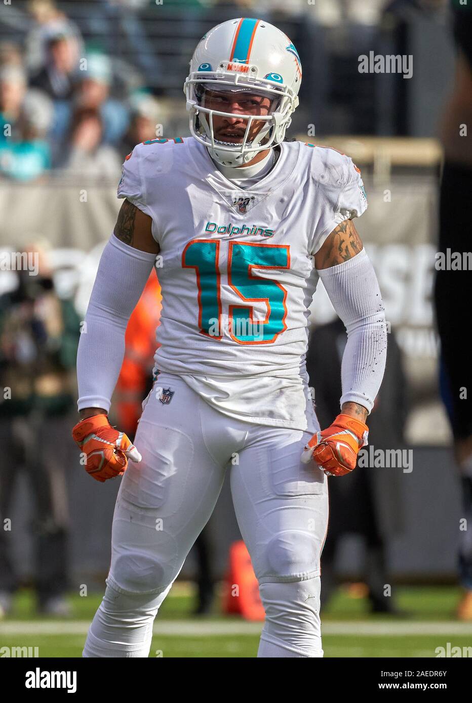 dolphins 22