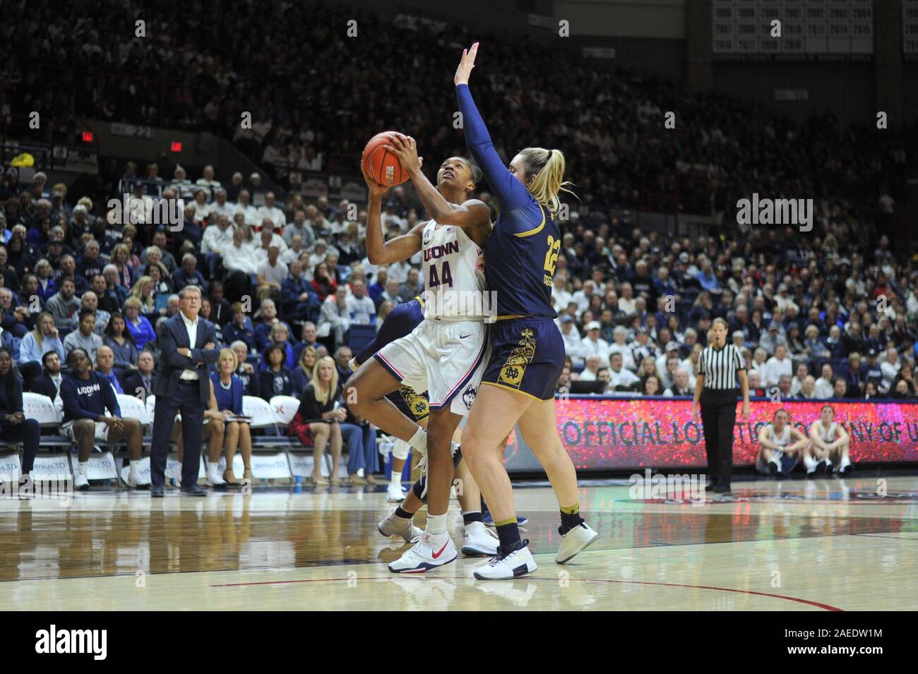 Uconn vs notre dame 15 jpg hires stock photography and images Alamy