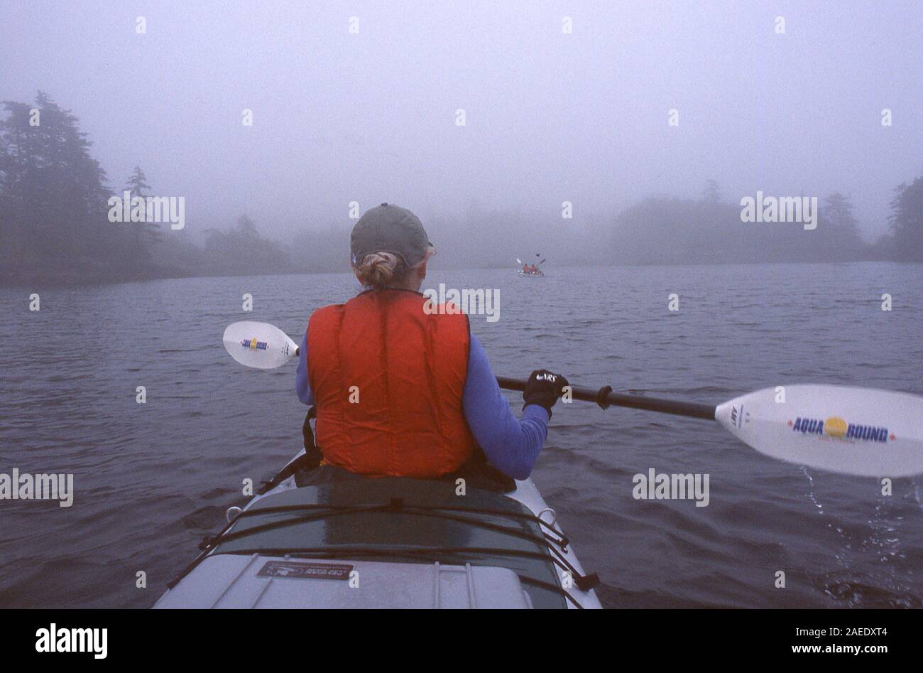 Kayaking in the Queen Charlotte Islands,Canada Stock Photo Alamy