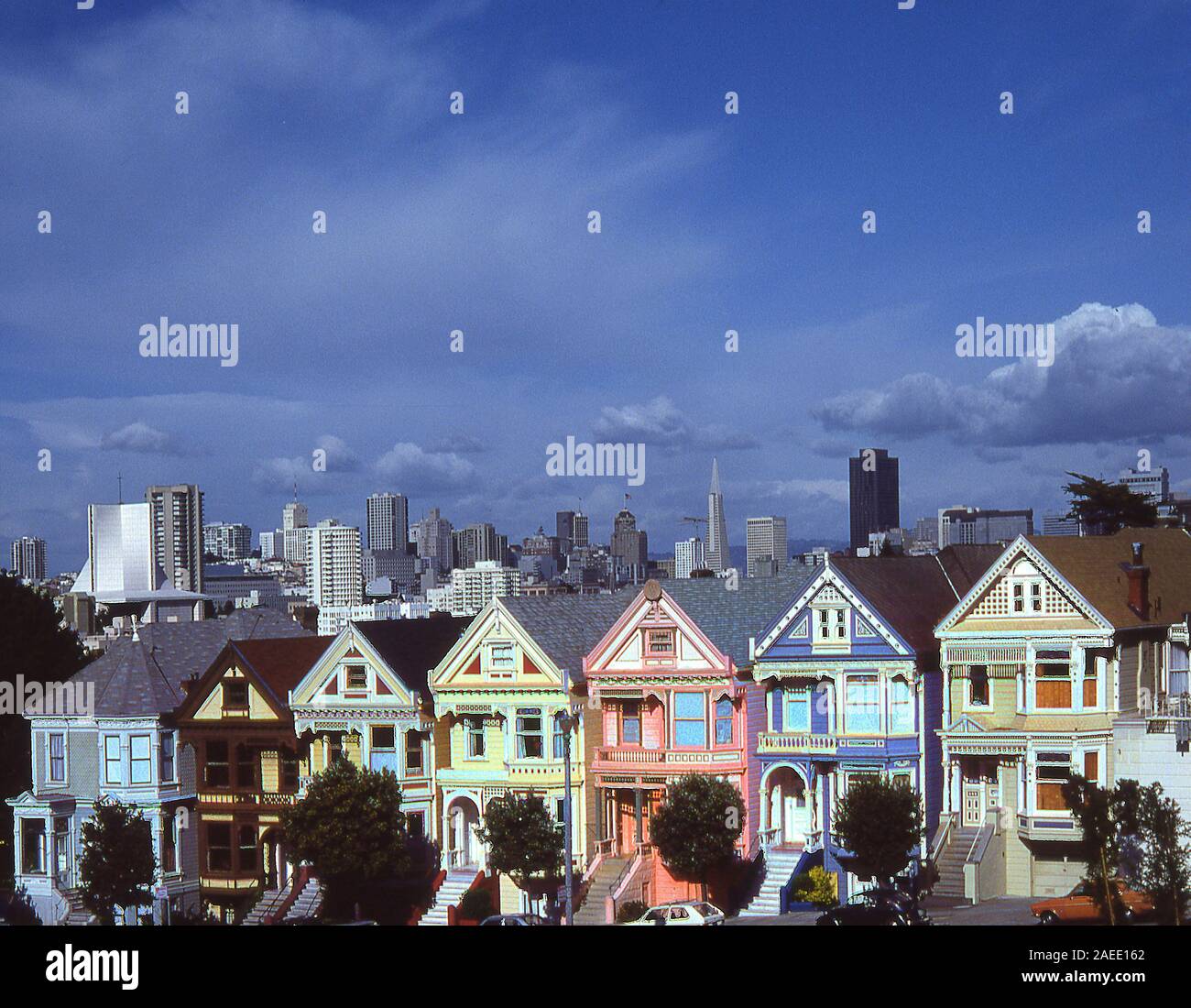 Pink Ladies at ALamo Square in San Francisco Stock Photo Alamy
