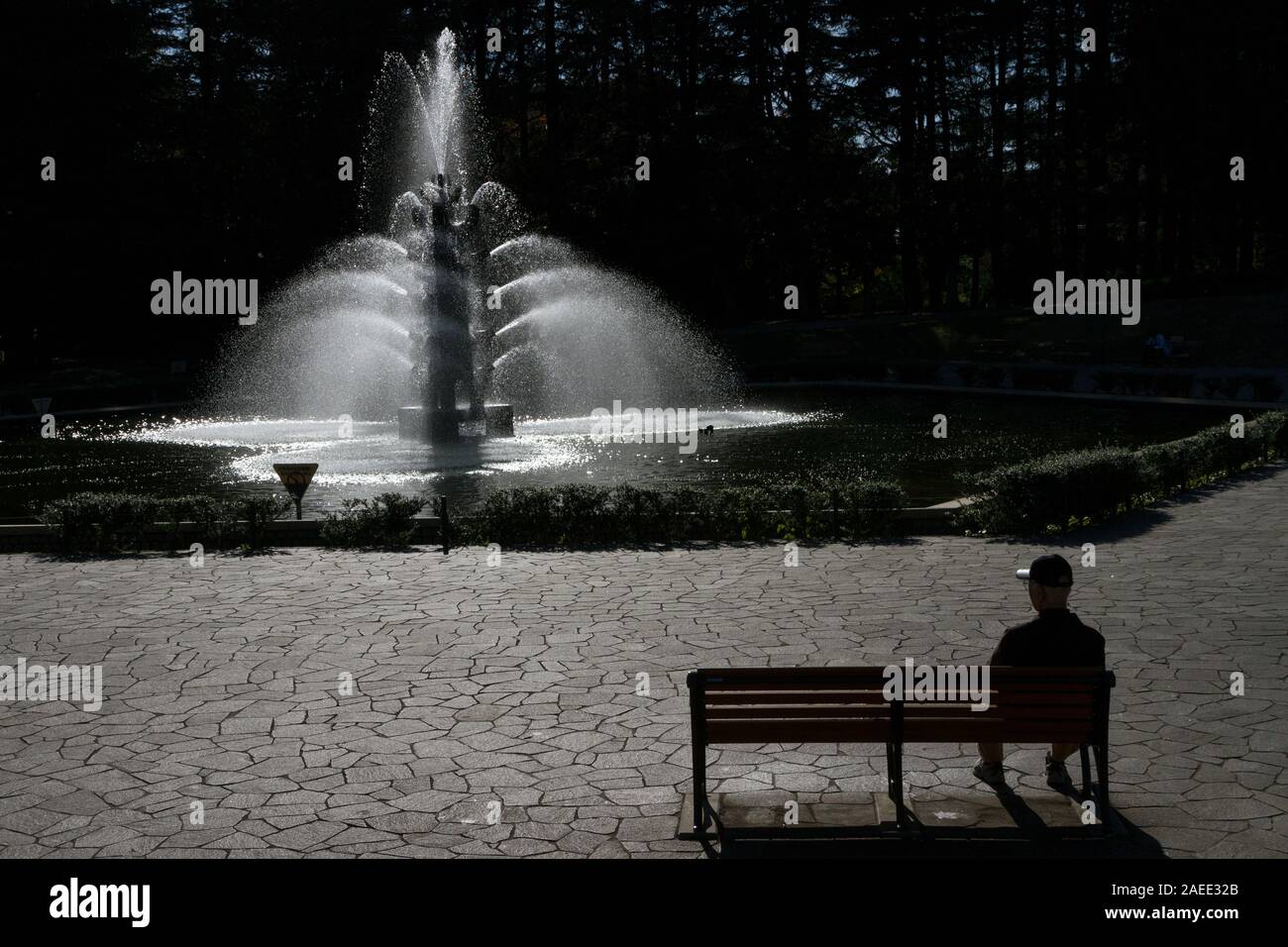 An old man sits on park bench by a fountain in Setagaya Park, Tokyo, Japan. Stock Photo