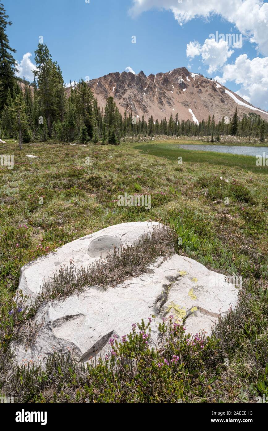 Granite boulder in a meadow near a lake in Idaho's Sawtooth Mountains. Stock Photo