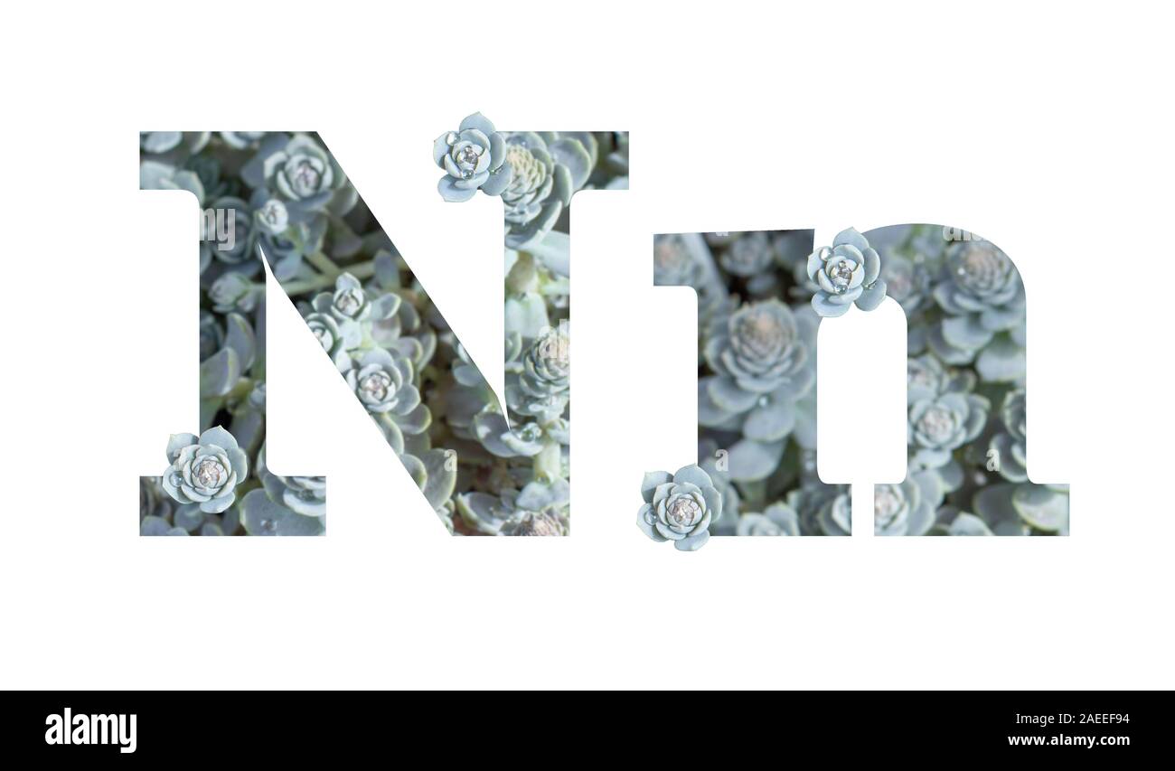 Letter N Uppercase High Resolution Stock Photography And Images Alamy