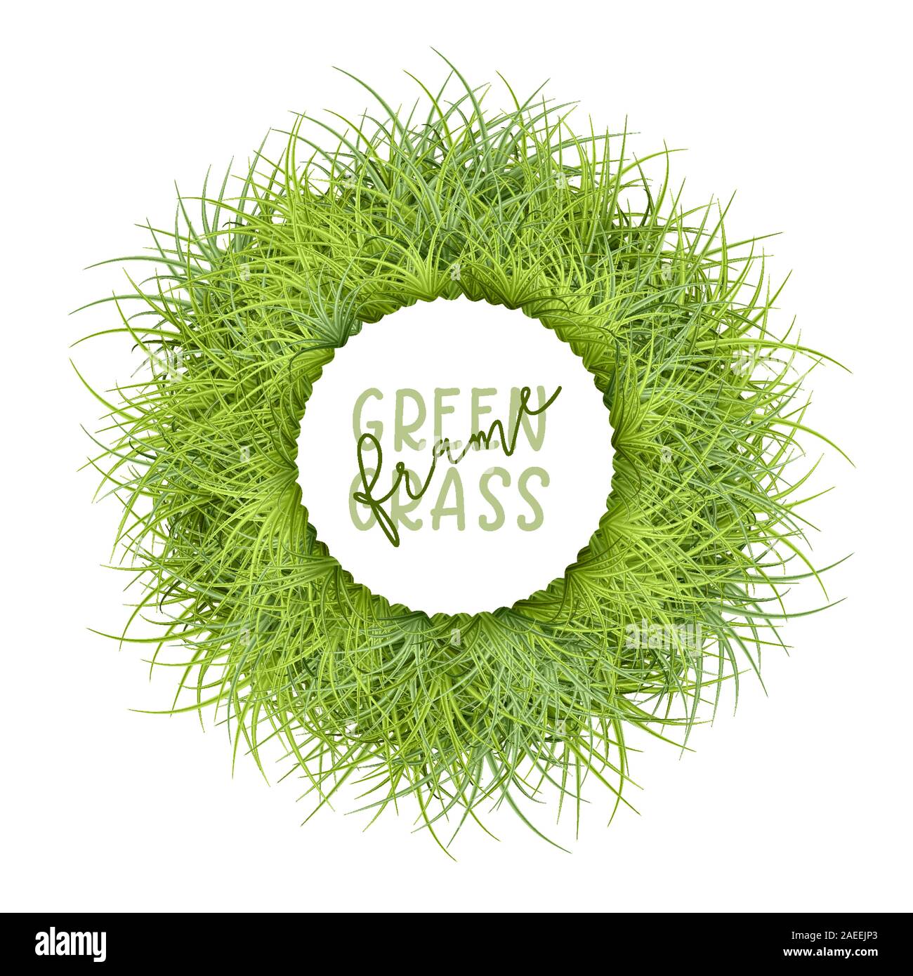 Round Grass Frame Stock Vector