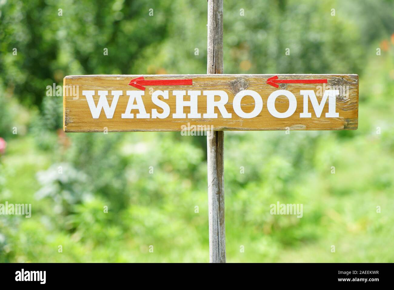 Washroom sign, Alternate Terrain, Manali, Himachal Pradesh, India, Asia Stock Photo