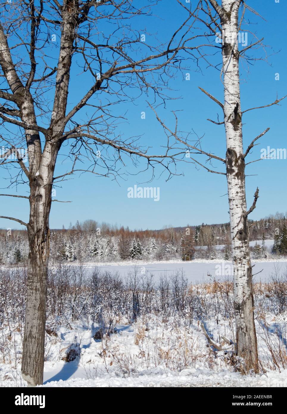 Canada snow landscape hi-res stock photography and images - Alamy