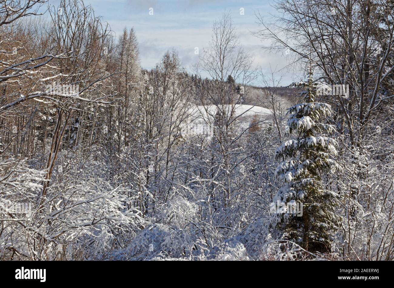 Quebec,Canada. Fresh snowfall on the farm Stock Photo