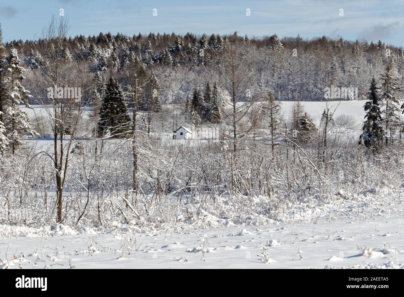Quebec,Canada. Fresh snowfall on the farm Stock Photo