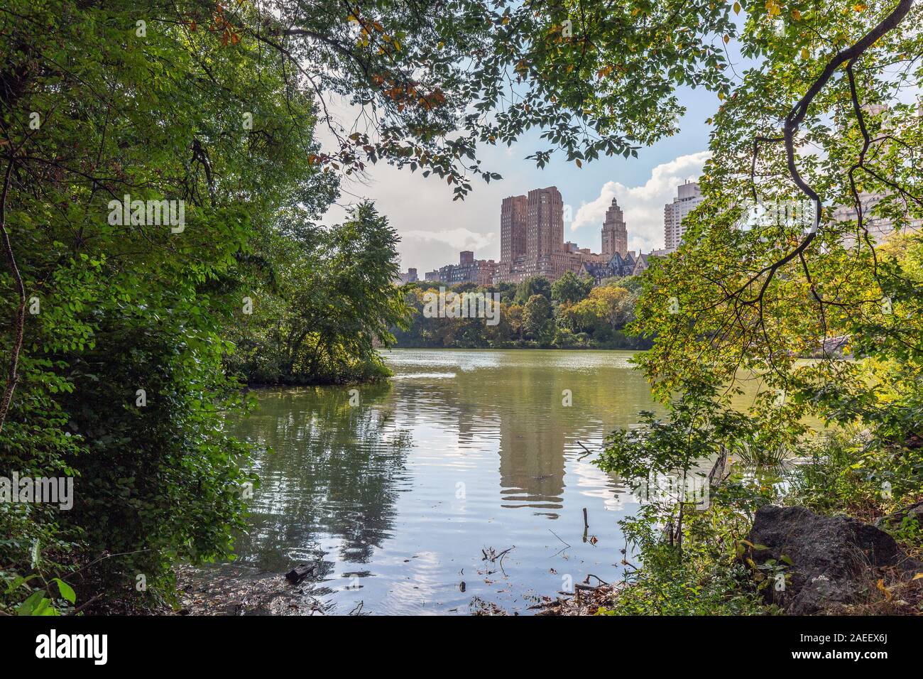Central Park during autumn in New York City, USA Stock Photo - Alamy