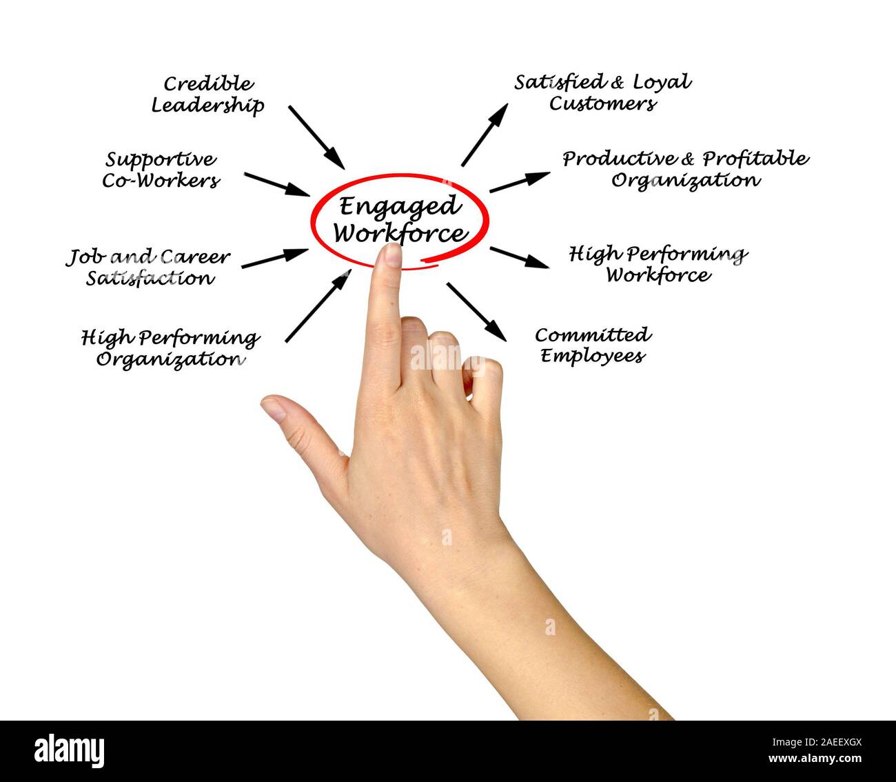 Engaged staff hi-res stock photography and images - Alamy
