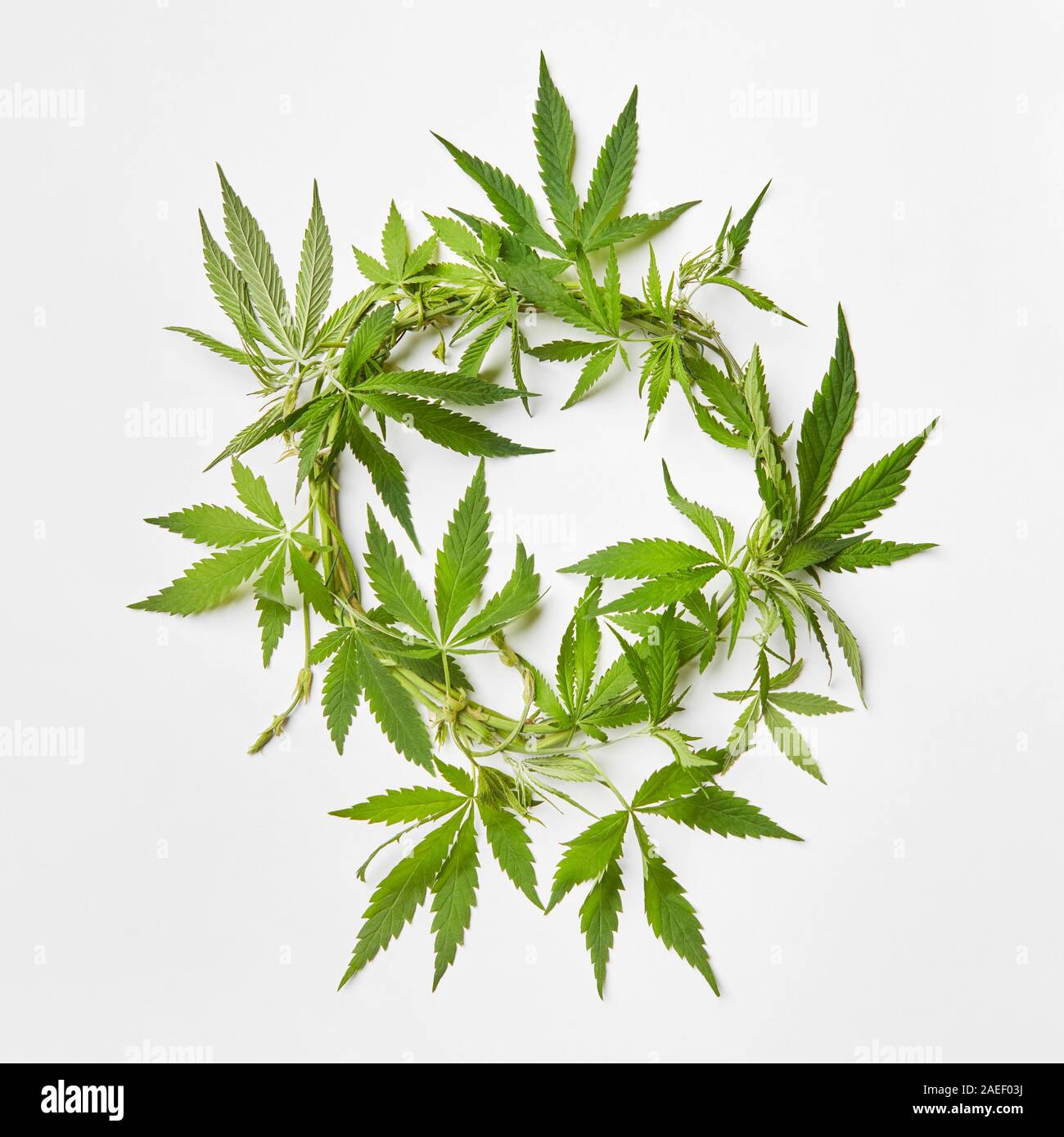 Marijuana with smoking accessories on copy space background. Cannabis  design concept Stock Photo - Alamy