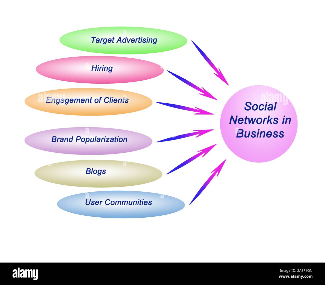 Social network in business Stock Photo Alamy