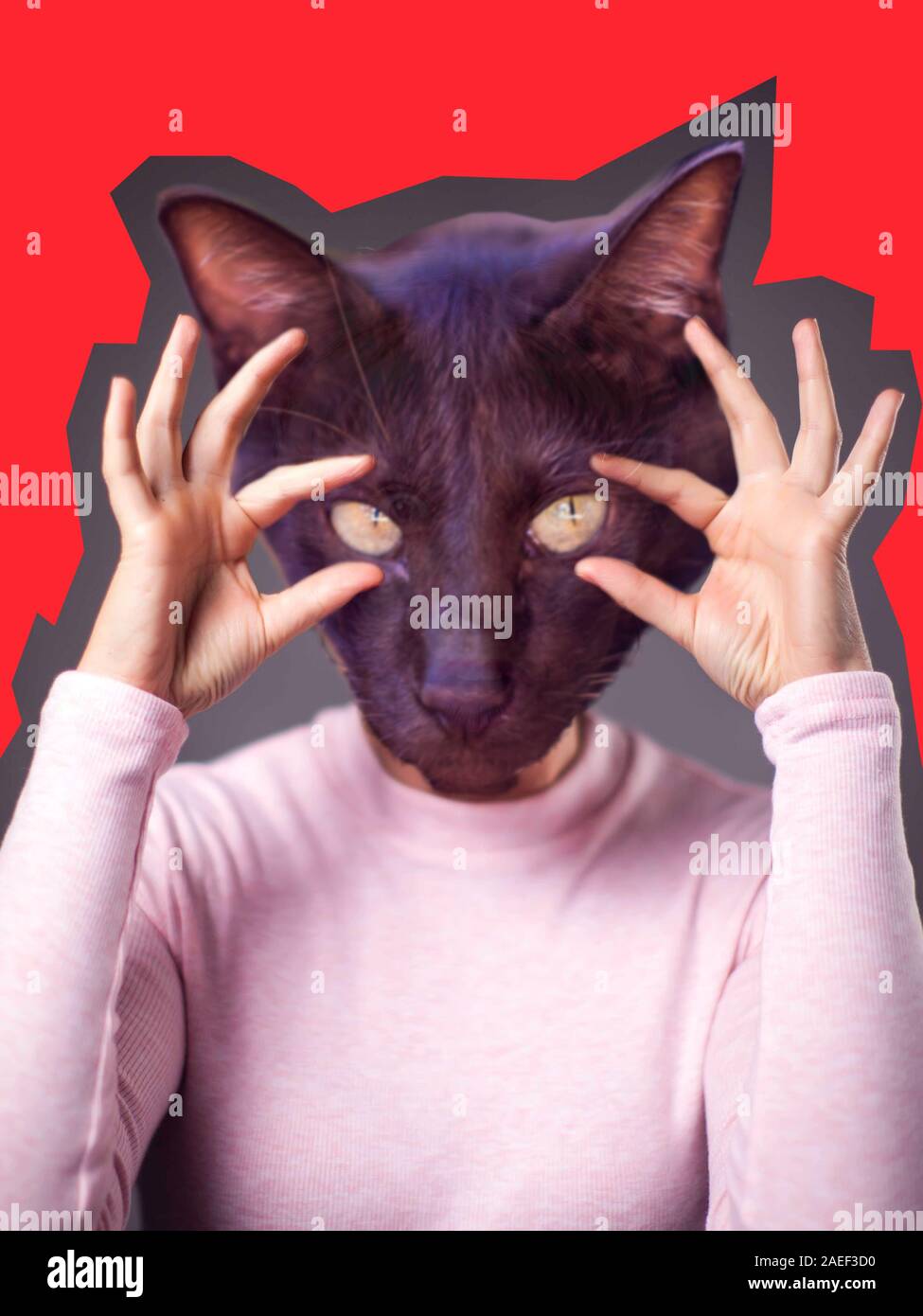 Modern art collage. Female model with cat face instead head on bright background. Stock Photo