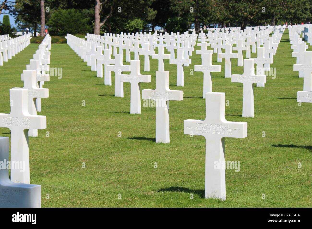 american military cemetery in normandy (france) Stock Photo