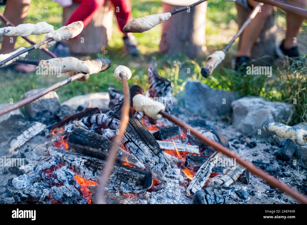 Children roasting twistbread on sticks over a camp fire during a picnic in the forest Stock Photo