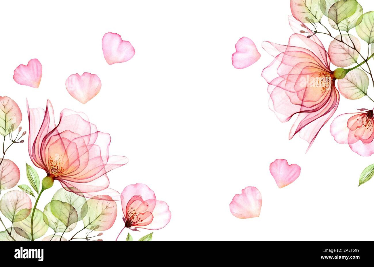 Watercolor floral background with rose garden and place for text. Transparent flowers with flying petals isolated in white. Botanical floral Stock Photo