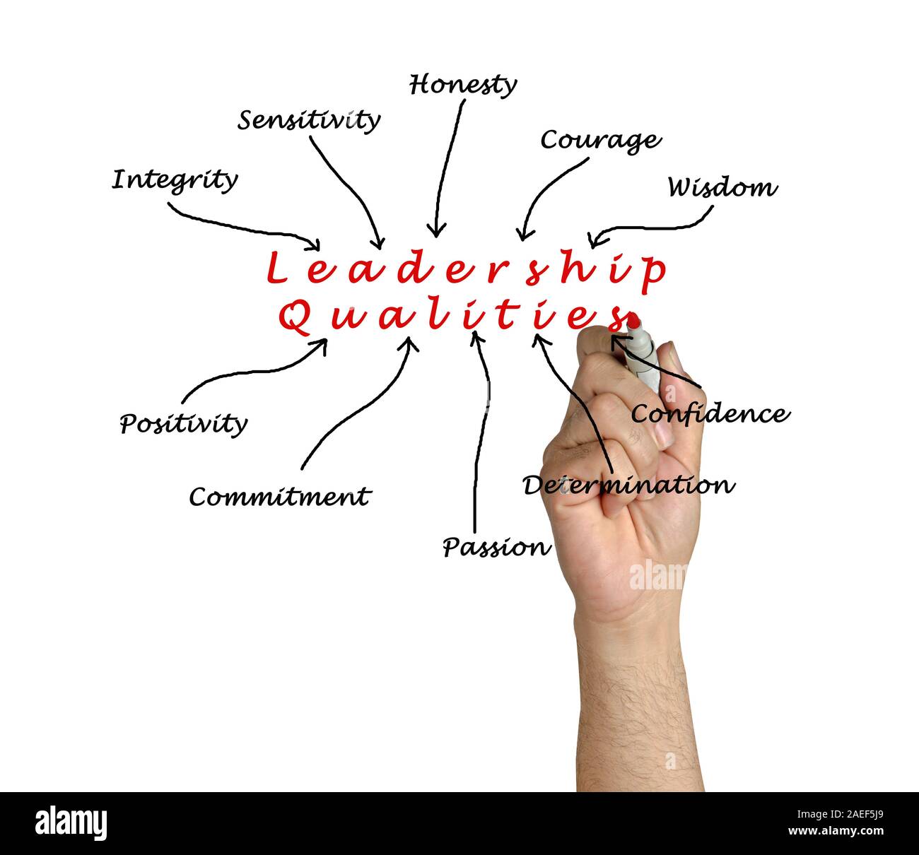 Diagram of leadership qualities Stock Photo Alamy