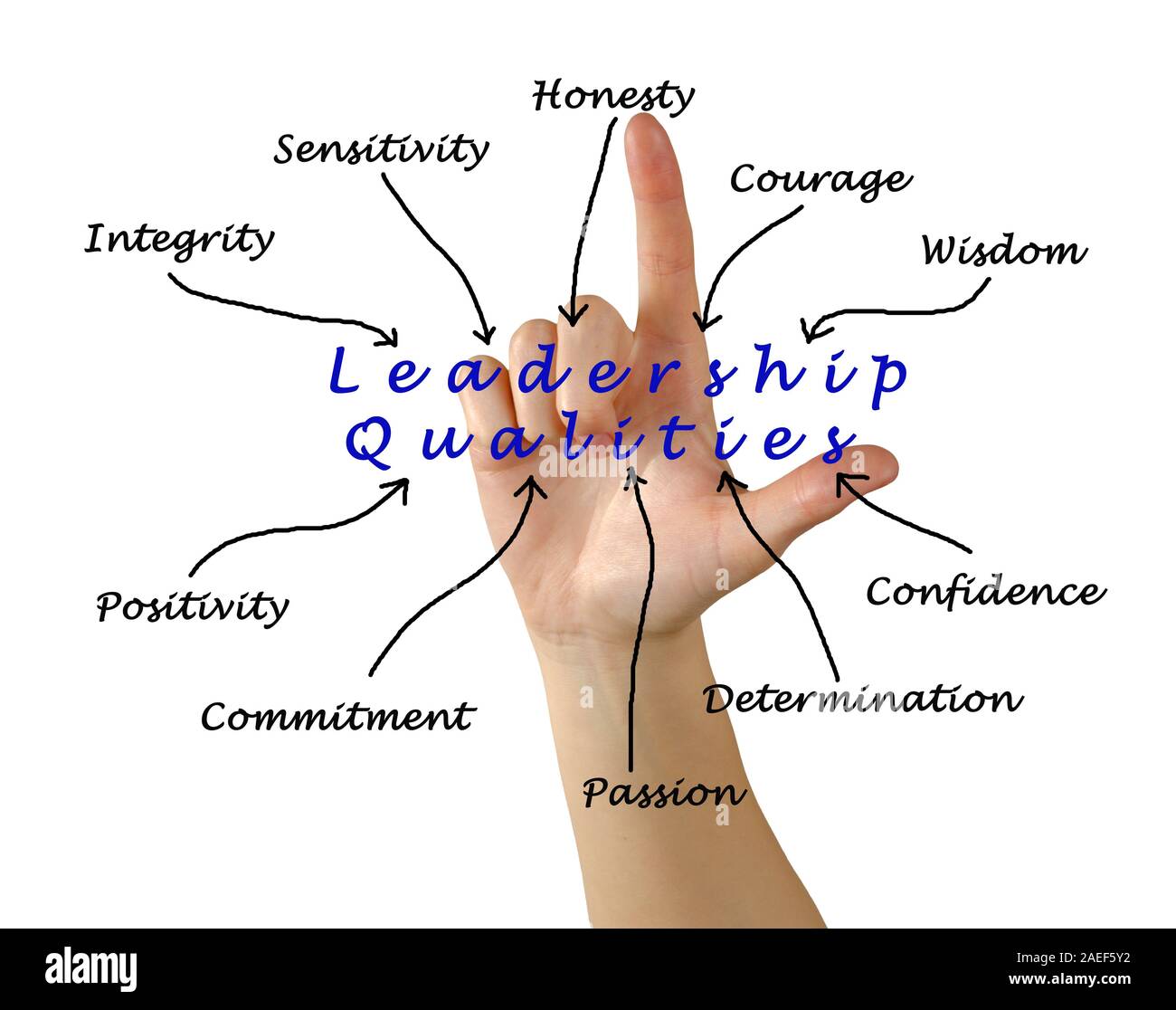 Diagram of leadership qualities Stock Photo Alamy